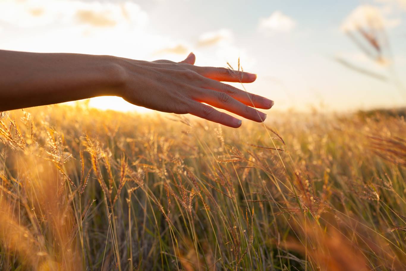 Coaching zen Coaching personnalisé en Ayurvéda